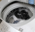 Sửa máy giặt Đồng Xoài Bình Long Chơn Thành